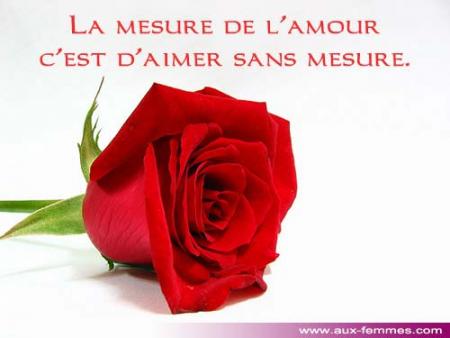 la mesure de l'amour c'est d'aimer sans mesure